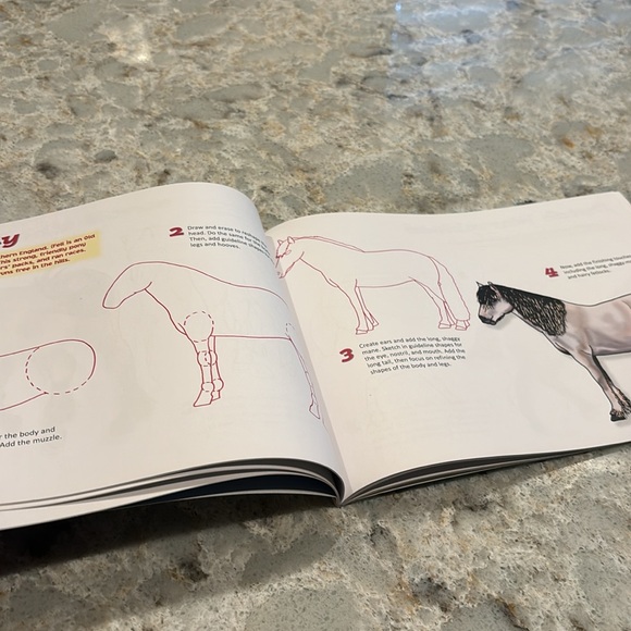 How to Draw! Horses.   Kids art book - Picture 4 of 4
